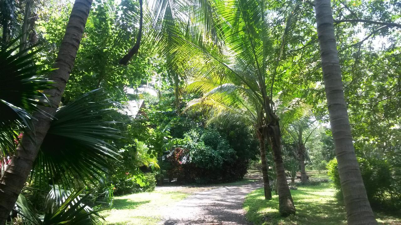 Casa Mymy Hostel Playa Negra Exterior photo
